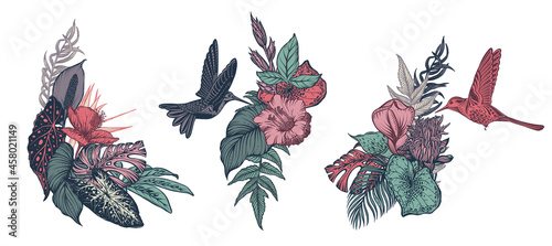 Vector compositions with tropical flowers, hummingbird, jungle palm, exotic leaves
