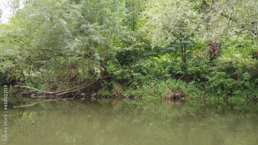 Flussufer der Fränkischen Saale Flussufer der Fränkischen Saale