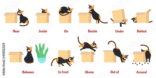Preposition. Learning english prepositions with cute cat. Preschool educational poster with cartoon pet, language grammar study decent vector banner photo