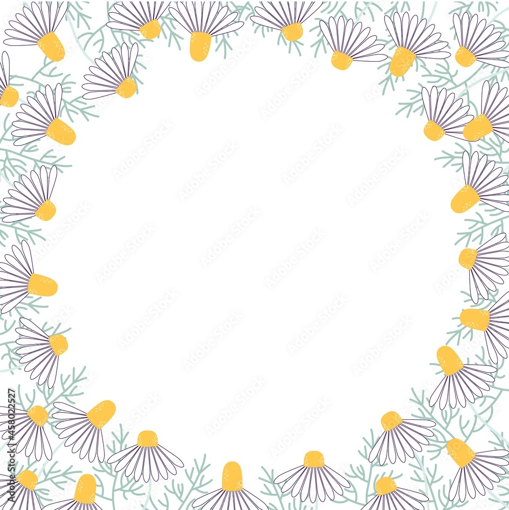 Round frame - Flowers and chamomile leaves.