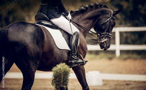 Equestrian sport. The leg of the rider in the stirrup, riding on a horse. © Azaliya (Elya Vatel)