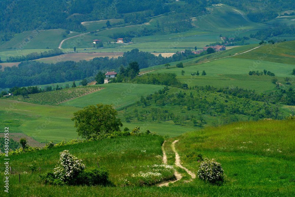 Rural landscape at May in Piedmont, near Brignano and Serra del Monte