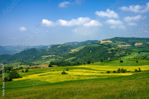 Vineyards at May in Piedmont  near Brignano and Serra del Monte
