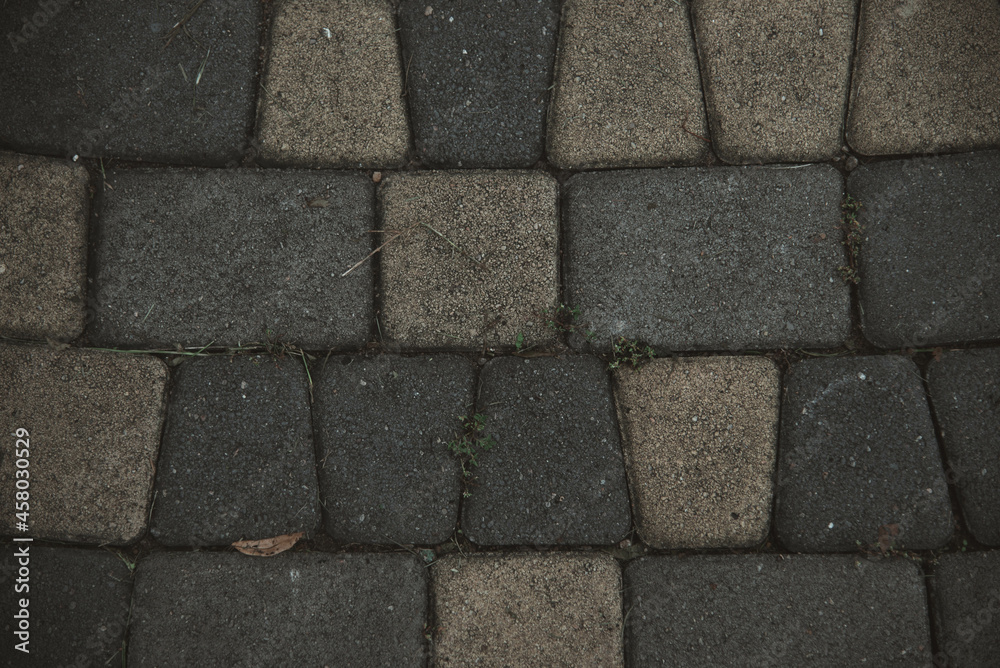 paving stone texture paving stone texture