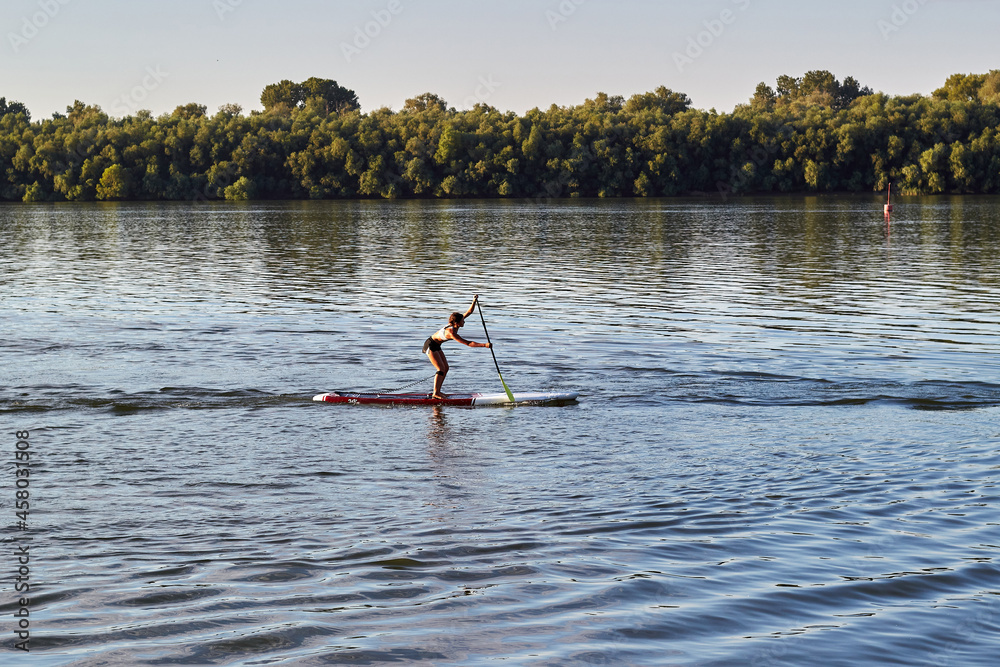 Naklejka premium Young girl is training on a SUP board on Danube river during sunny morning. Stand up paddle boarding - awesome active recreation and sport