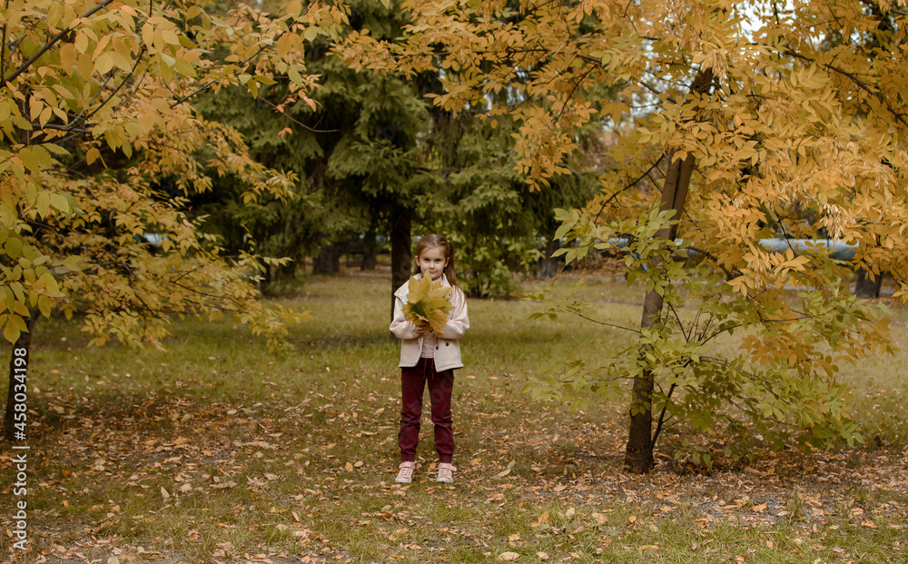 Close-up portrait of pretty little girl resting in autumnal park. Close-up portrait of pretty little girl resting in autumnal park.