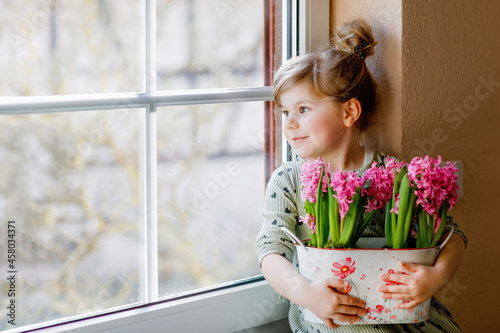 Tableau sur toile Little toddler girl sitting by window with blossoming pink hyacinth flowers