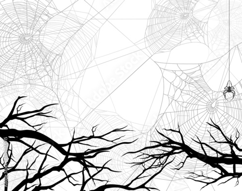 bare tree branches and spider web in dark forest - black and white halloween theme vector background
