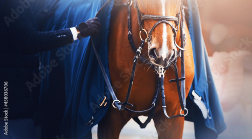 The sorrel horse is wearing a bridle and a blue warm blanket, and a rider stands next to him and adjusts the straps with his hands. Equestrian sports. Horse riding.