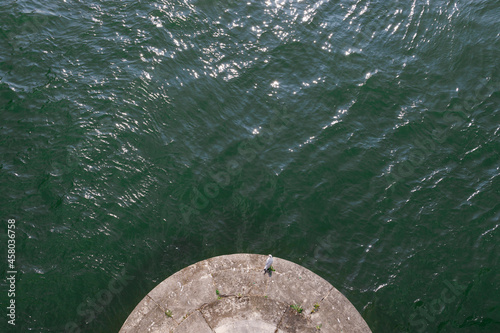 Seagull perched on the base of a column in a river. © Ignacio Ferrándiz