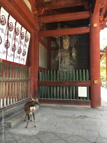 chinese temple door