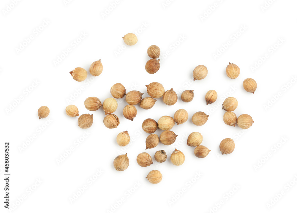 Scattered dried coriander seeds on white background, top view Scattered dried coriander seeds on white background, top view