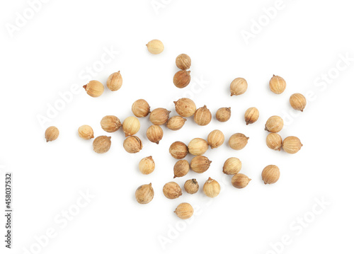 Scattered dried coriander seeds on white background, top view
