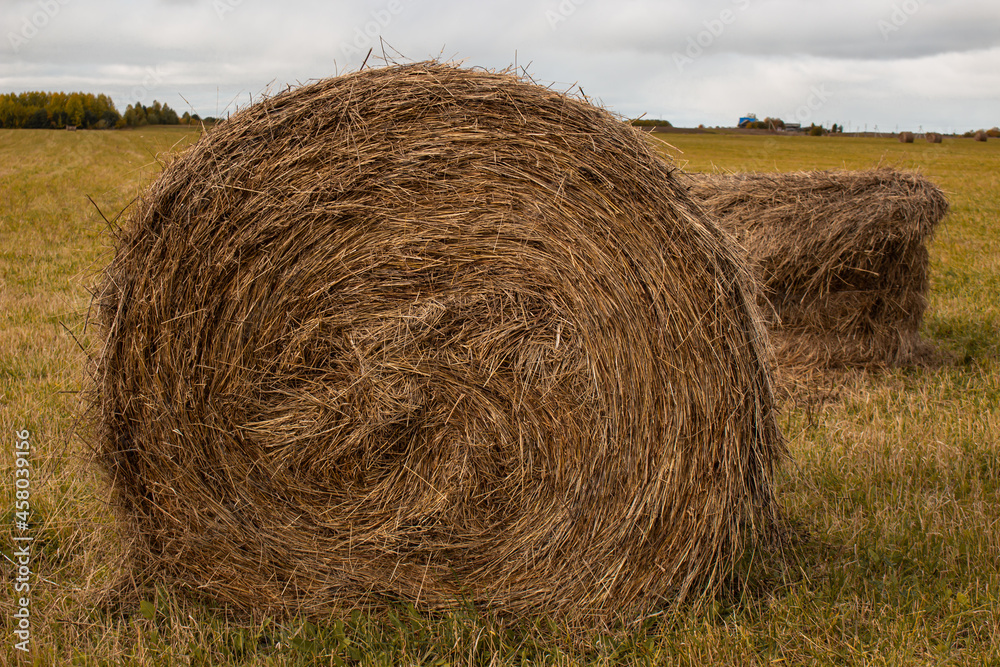 bales of hay