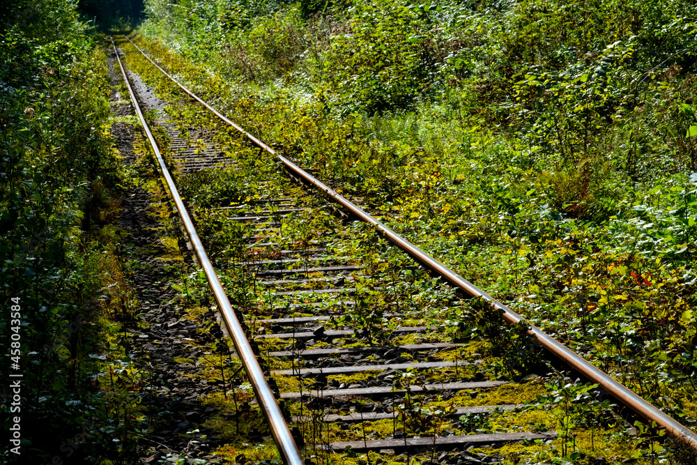 Fototapeta premium Eisenbahn Schienen Strecke Natur grün Vegetation geradeaus Wald Sauerland Deutschland Hönnetal Nebenstrecke Zug Pflanzen Schwellen Balve Menden Fröndenberg Neuenrade Verbindung Licht Stimmung Idyll