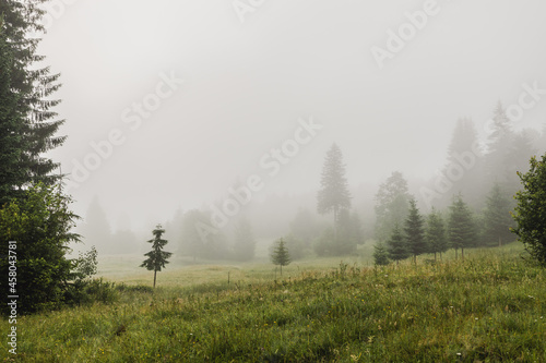 Fototapeta Naklejka Na Ścianę i Meble -  Beautiful thick fog on green hilly rural fields in autumn weather. Ukraine, Carpathians. Europe