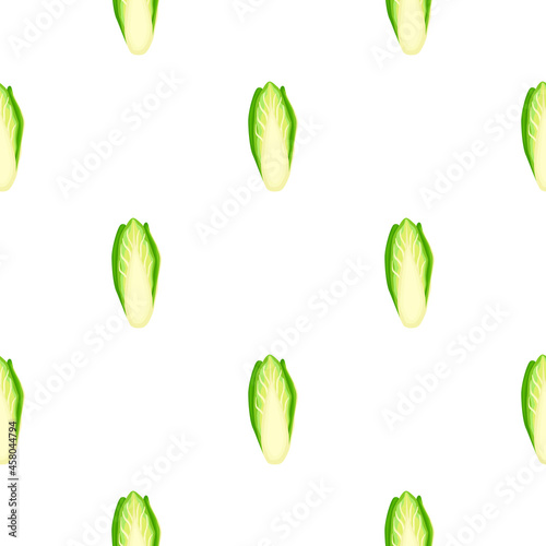 Seamless pattern Chicory cabbage on white background. Ornament with lettuce.