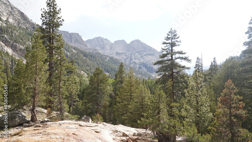 Forest and Moutain Landscapes in the Sierra Nevada Range of California, USA. photo