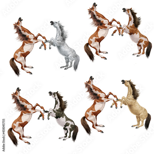 cheval  silhouette  combat    talon   animal  illustration cavalier    talon  galop  conception  course  mammif  re  sauvage  chat  sport  course   amoureux des chevaux  crin