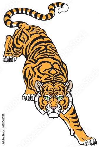 Tiger climbing down and Big cat eyes looking straight. Isolated front view image. Tattoo style vector illustration