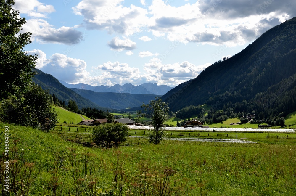 Crops in the valley