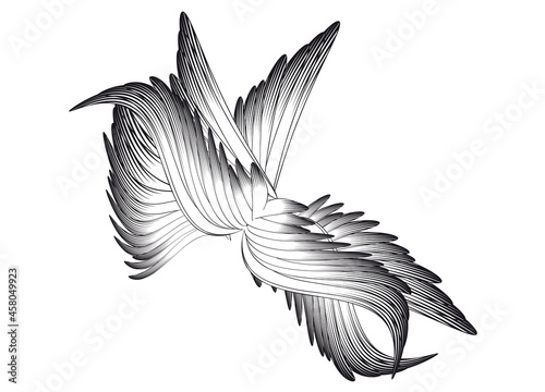 wild schlagende Flügel- kunstvoller Flügelschlag