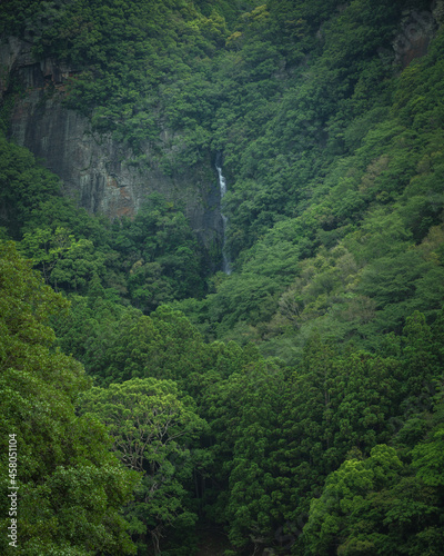 和歌山県 八草の滝