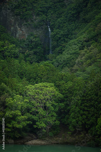 和歌山県 八草の滝