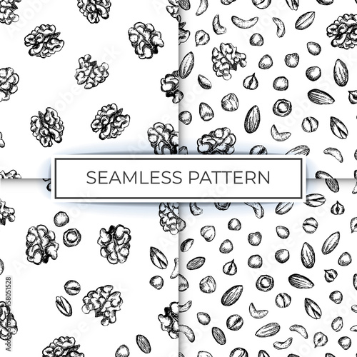 collection pattern nuts sketch illustration background hand drawn ink