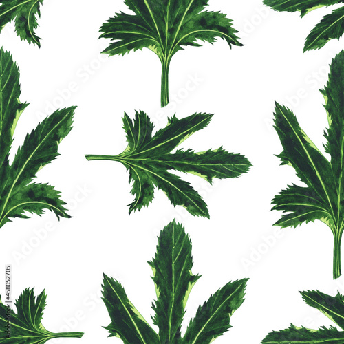 Green leaf of zucchini in seamless pattern on white background. Watercolor hand drawing illustration. Perfect for textile.