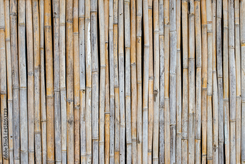 Close up photo of bamboo wall