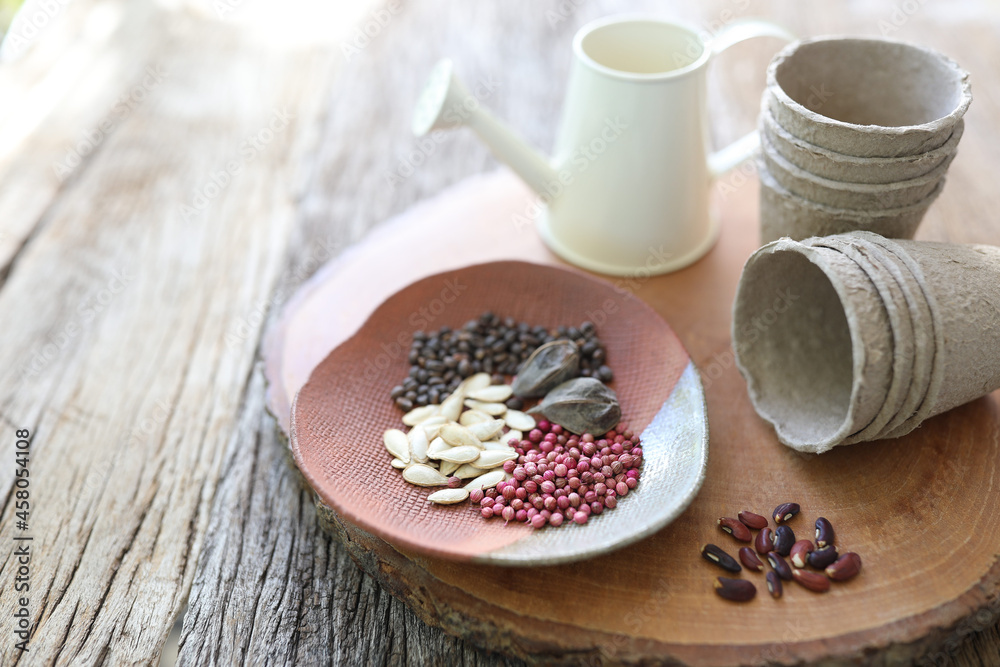 Vegetables seeds in clay plate with paper plants pot Vegetables seeds in clay plate with paper plants pot