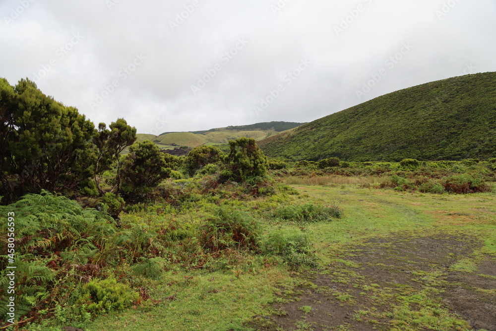 Landscape in the morning with fog, Terceira island, Azores