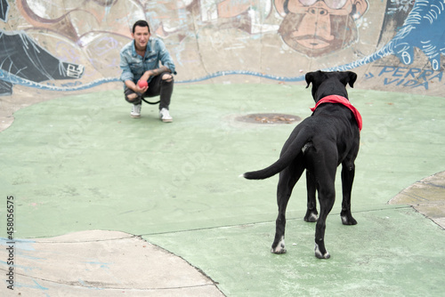 young latin man with have fun his creole rottweiler dog with heterochromia in urban skatepark background. 