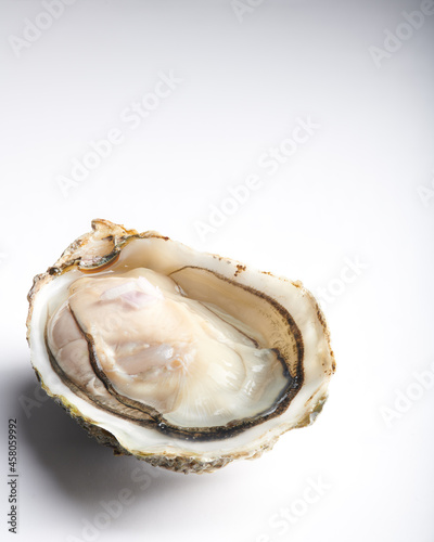 Oyster in opened half shell isolated on plain white background