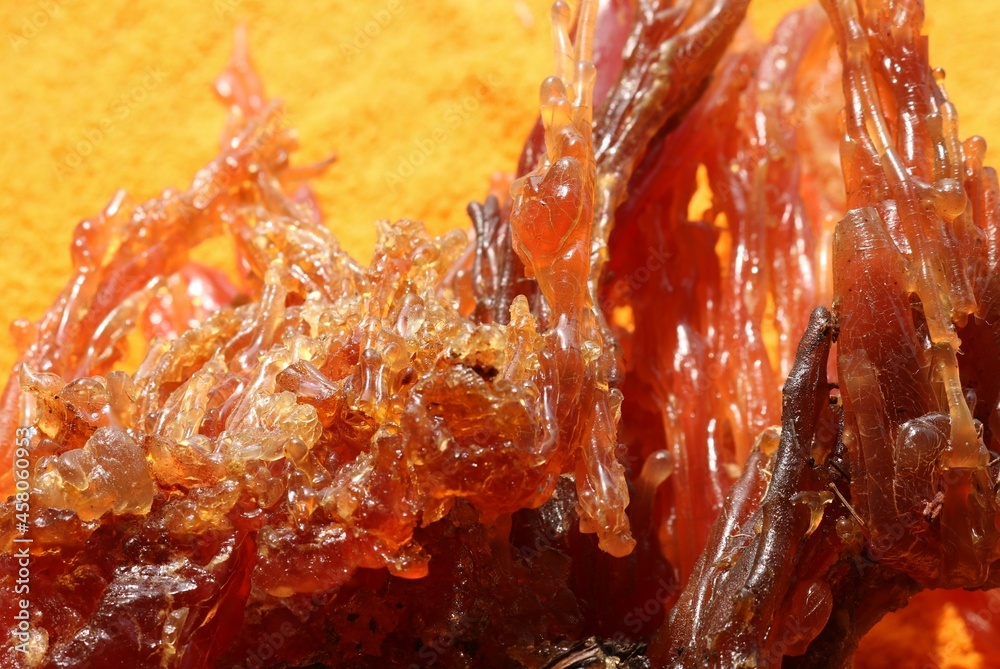 resin - from Larch trees resin - from Larch trees