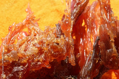 resin - from Larch trees