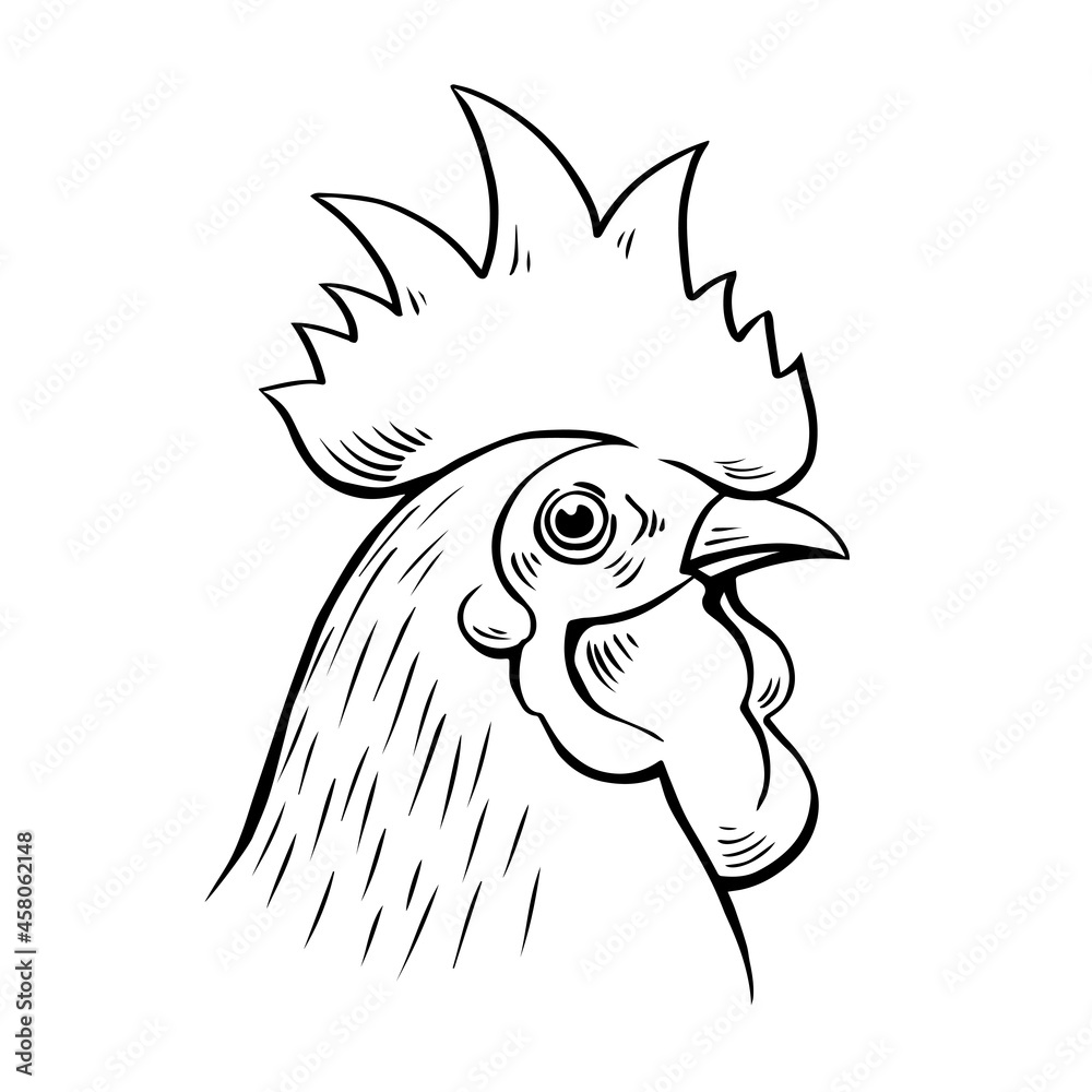 Fototapeta premium Head portrait of a rooster. Logo, emblem of chicken meat, farming. Domestic bird. Vector isolated illustration sketch hand drawn