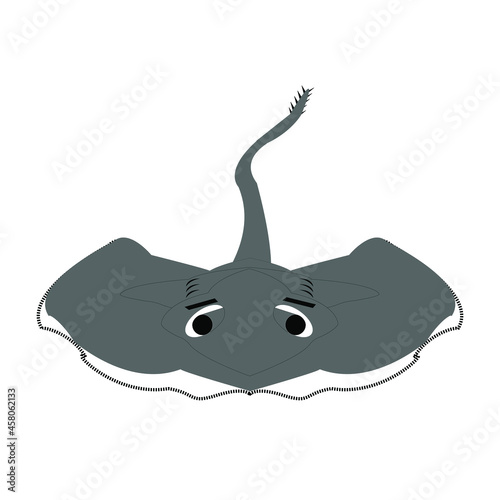 Animal pez de mar la mantaraya