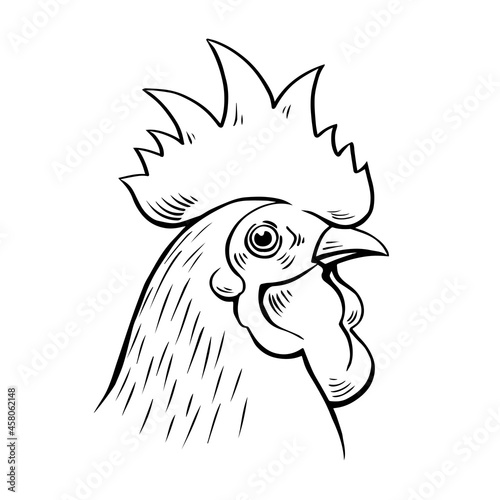 Head portrait of a rooster. Logo, emblem of chicken meat, farming. Domestic bird. Vector isolated illustration sketch hand drawn