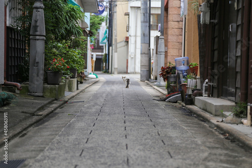 日本の町並み © Nanami Kawabata