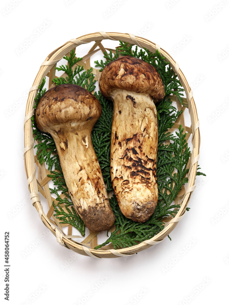 matsutake mushrooms on bamboo basket isolated on white background matsutake mushrooms on bamboo basket isolated on white background