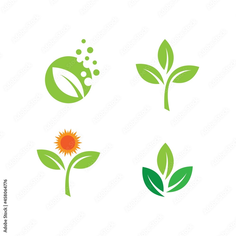  green leaf illustration