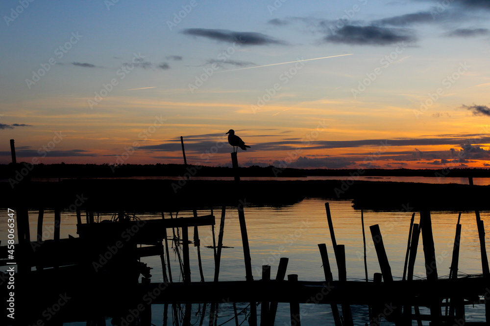 Silhouette of wooden stakes at sunset with seagull. Blue, orange and red sunset. A beautiful shot to the river. Travel in typical fishermen's places.