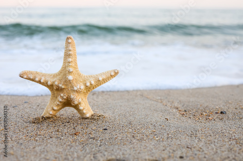 sea shell starfish on tropical sand turquoise caribbean summer vacation