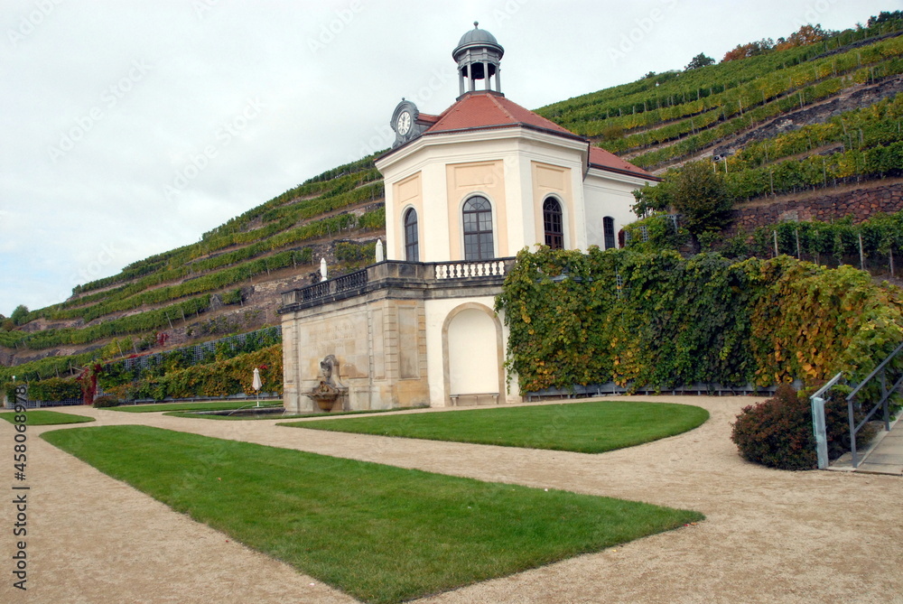 Weinberg Schloss Wackerbarth