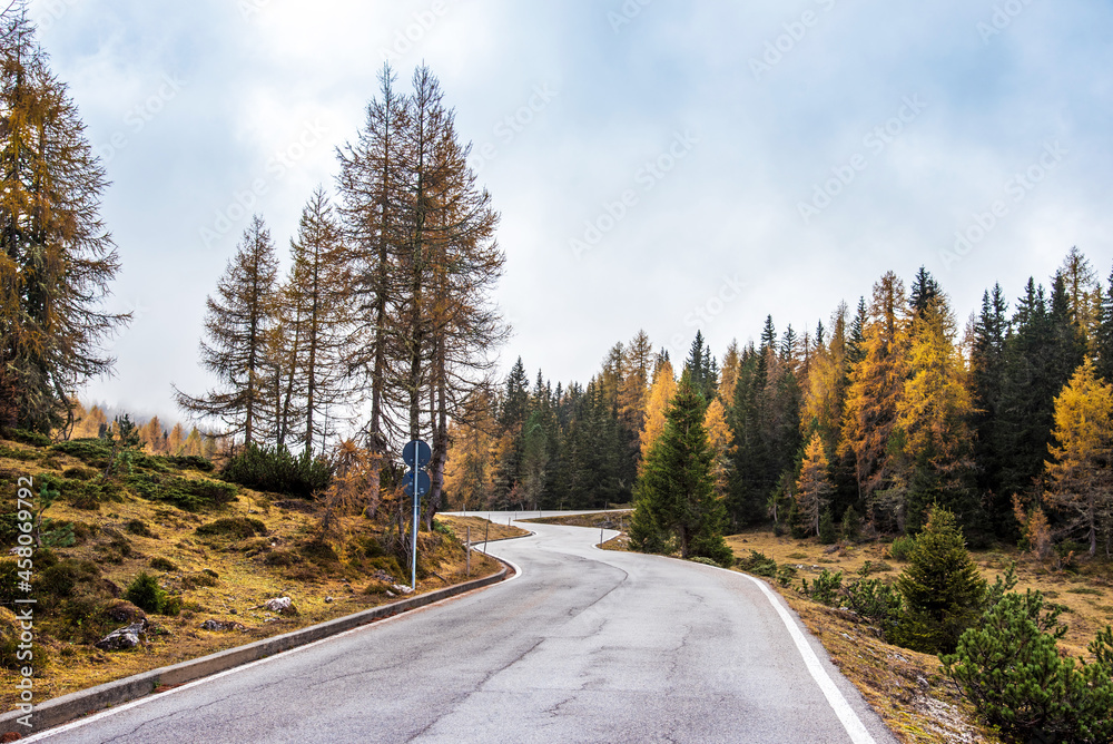 Beautiful autumn landscape with a road in the middle of the mountains.