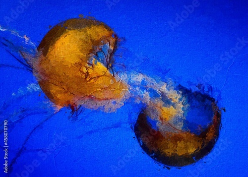 jelly fish in the water photo