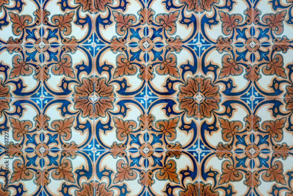 Traditional Portuguese Colored Tile Wall