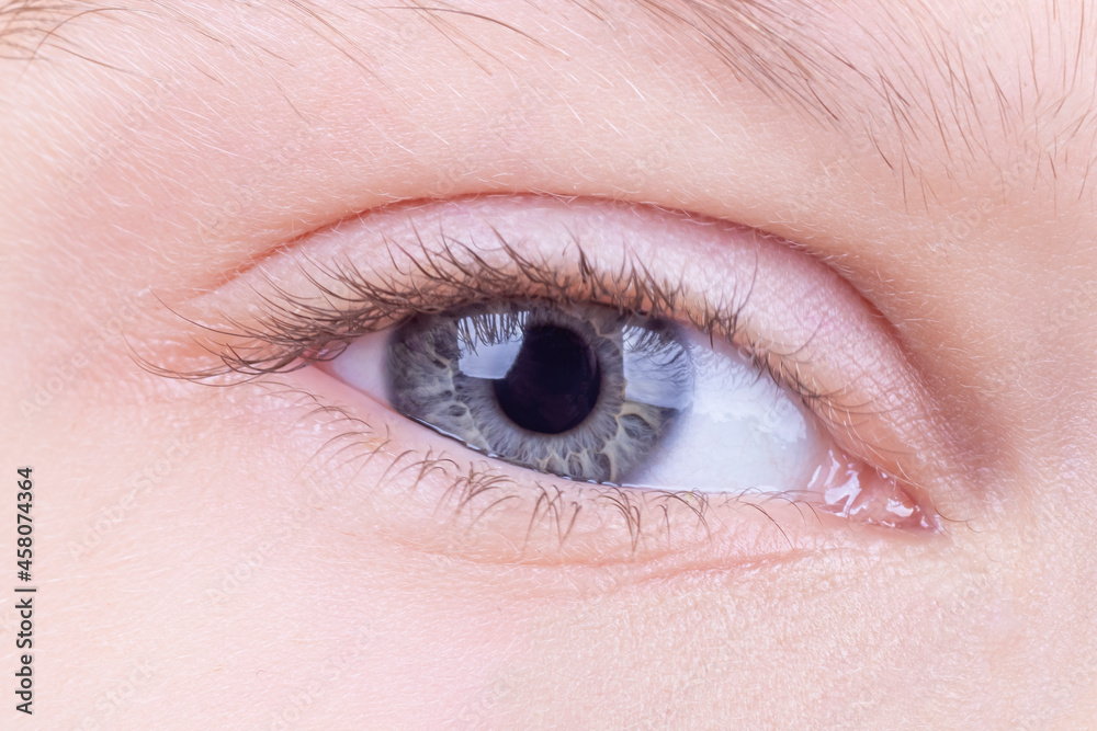 the eye is open. studio lighting. a girl, a teenage macro. close-up. the eye is open. studio lighting. a girl, a teenage macro. close-up.